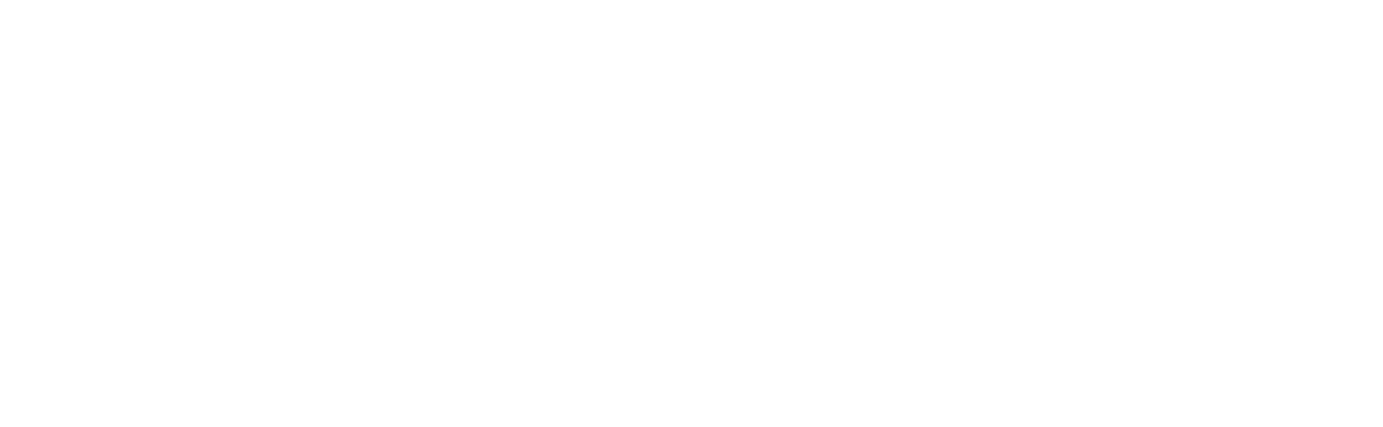 Aylin Topcu Erdinç